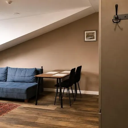 Liberty Avenue Apartament Kowno